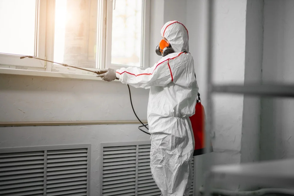 Professional mold remediation services in Union Furnace, OH